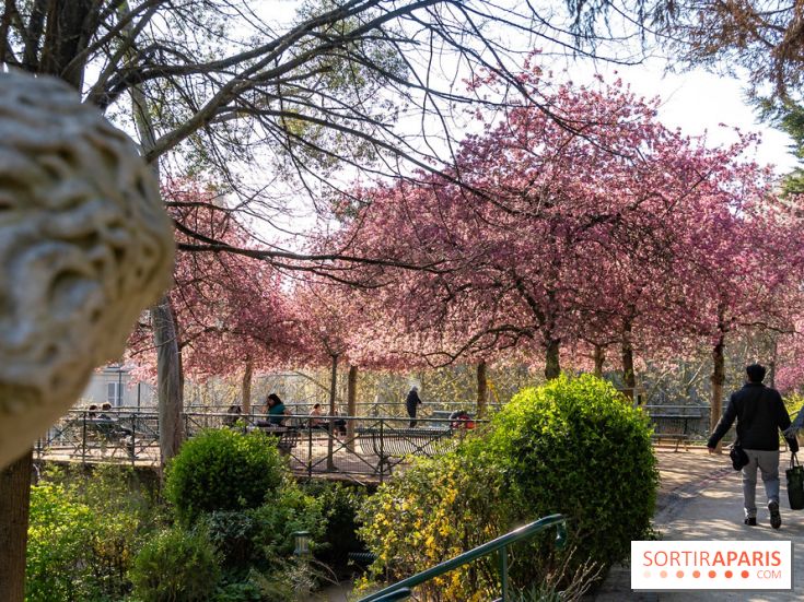 Les pommiers et cerisiers en fleurs du Jardin de Reuilly, Parc de Reuilly à Paris 12e - photos  - A7C09294