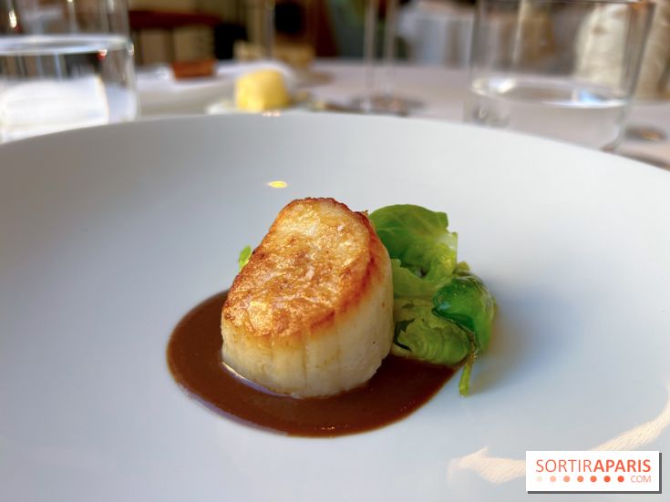 Alliance - Noix de Saint-Jacques à l'unilatéral, chou de Bruxelles, sauce réduite au vin rouge et barbes