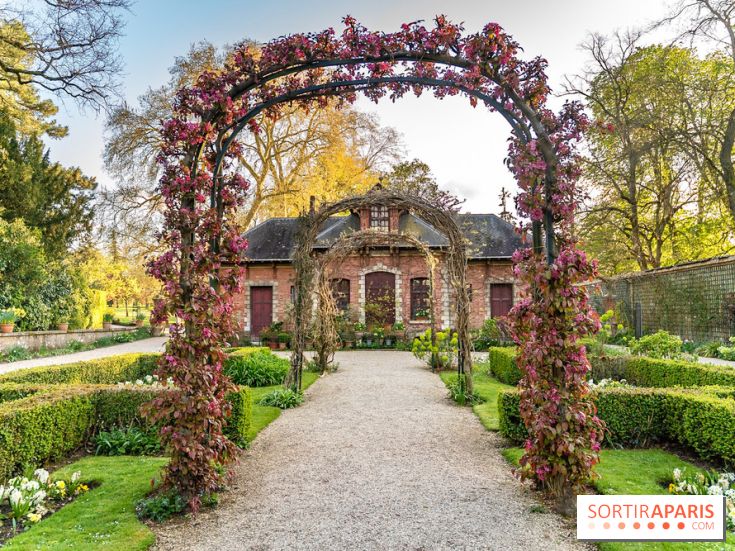 Le Parc de Bagatelle au printemps, cerisier, tulipes et jonquilles - photos