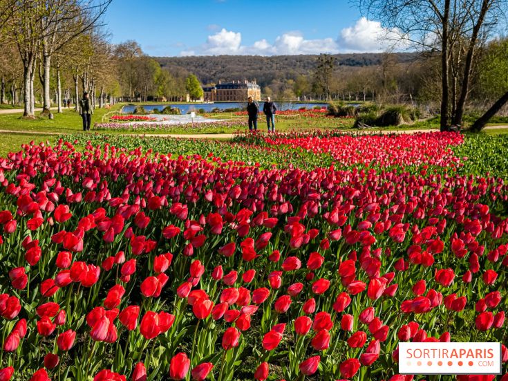 Les tulipes du Château de Dampierre, son jardin anglais et le jardin Le Nôtre