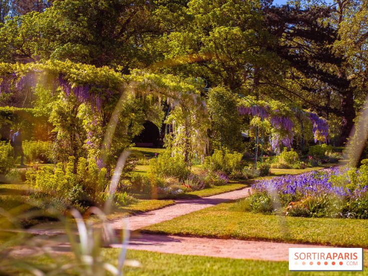 Le Parc des Ibis au Vésinet dans les Yvelines en Région Parisienne - photos  - A7200695 2