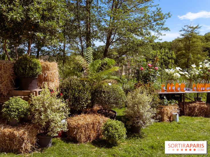 Fête des Plantes au Château de Dampierre dans les Yvelines - photos