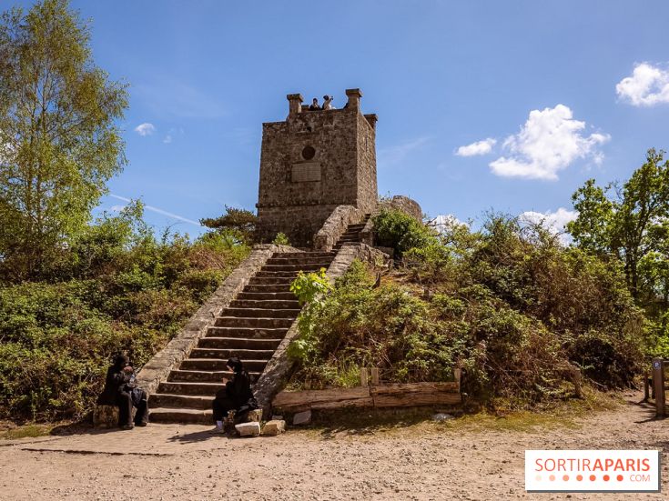 Liaisons douces à Fontainebleau : la forêt à vélo, les photos