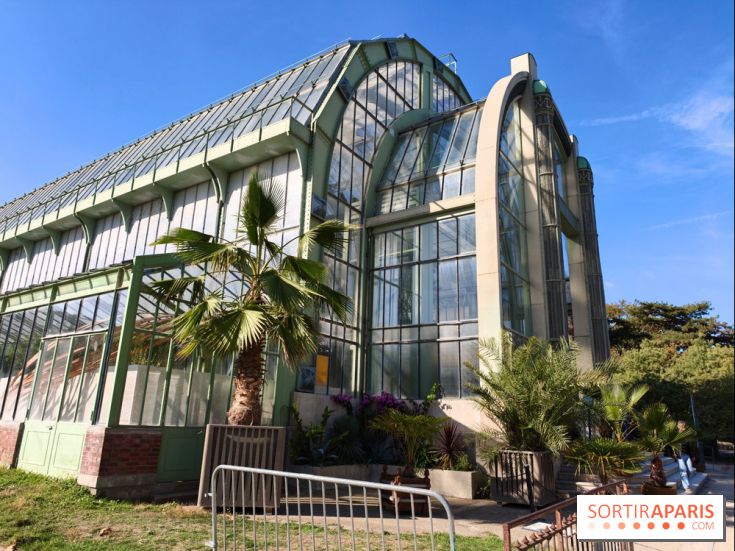 Automne tropical 2026