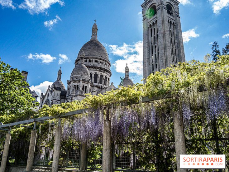Ou voir les plus belles glycines de Paris, les spots incontournables et cachés - square Marcel Bleustein Blanchet