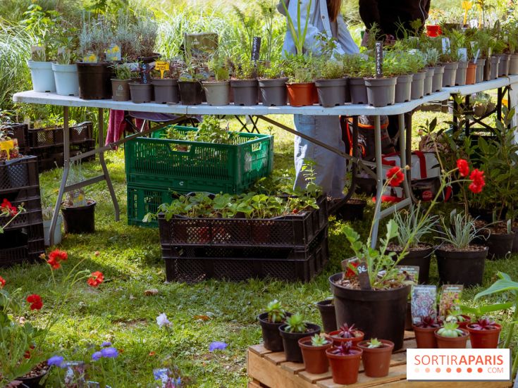 Les Naturiales 2026 à Fontainebleau : marché de plantes et animations nature en Seine-et-Marne