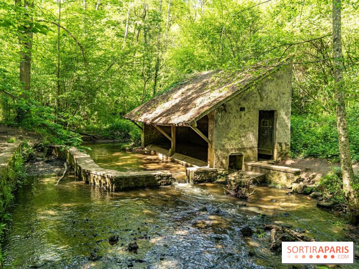 Fête de la Nature 2023 dans les Yvelines (78) : Le programme