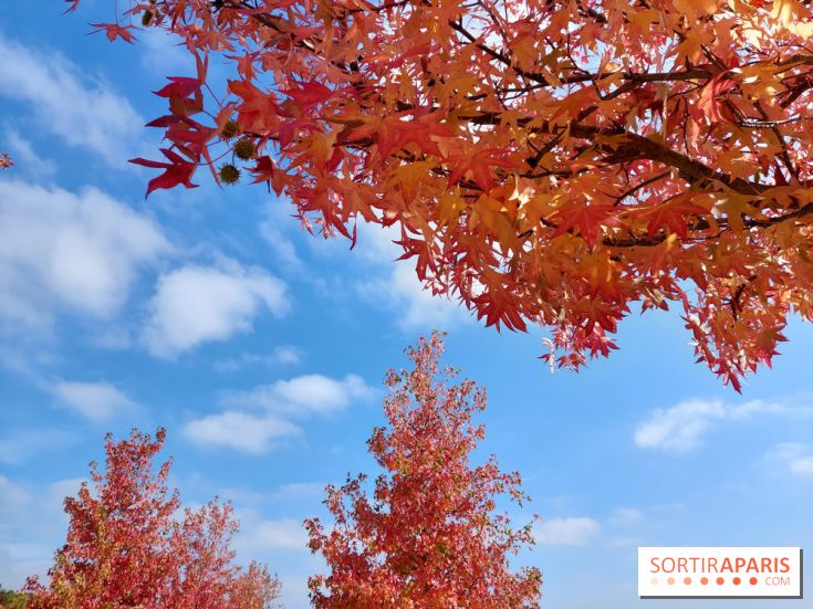 Que faire ce week-end à Paris et en Île-de-France, les 17, 18 et 19 octobre 2025 