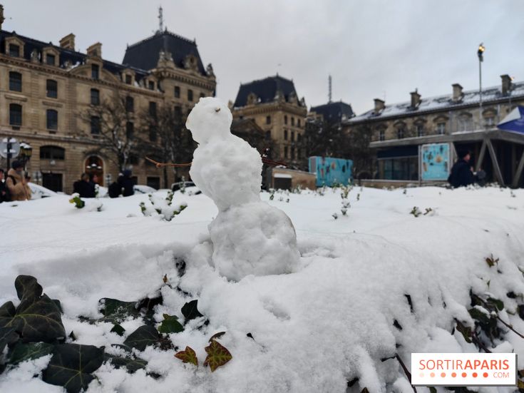 La Neige à Paris - fotor 1767798927974