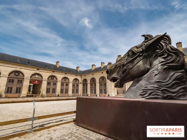 Nature, le spectacle équestre aux Grandes Ecuries du Domaine de Chantilly