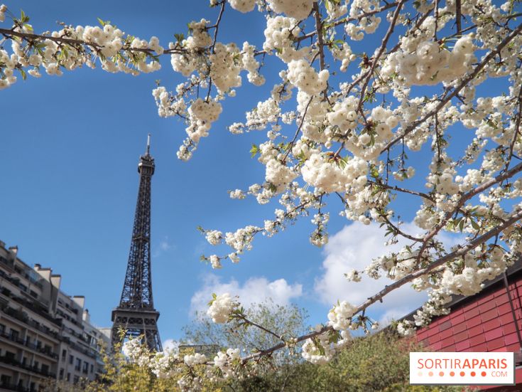 Visuel Paris, Tour Eiffel printemps