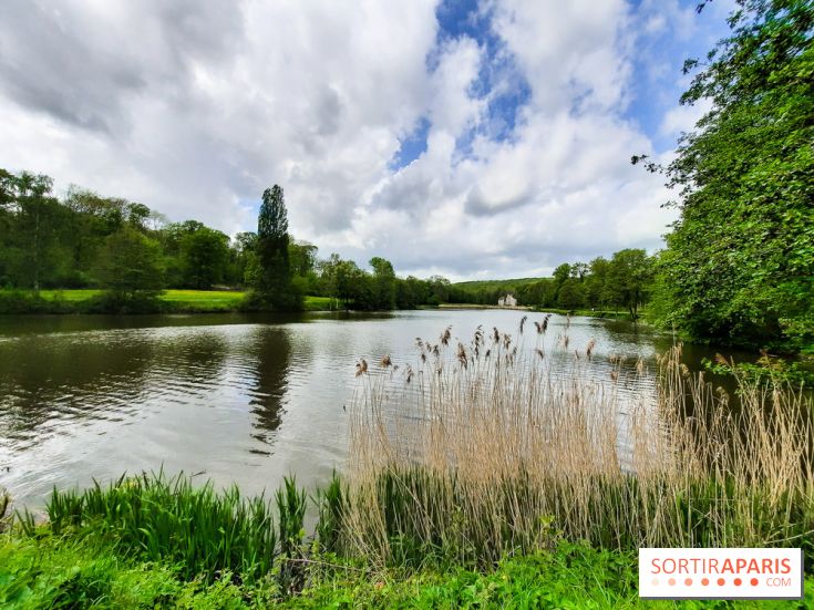 Balade en poney à Paris et en Région Parisienne