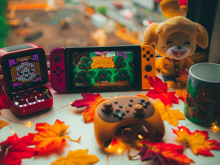 Jeux vidéo cosy animal crossing