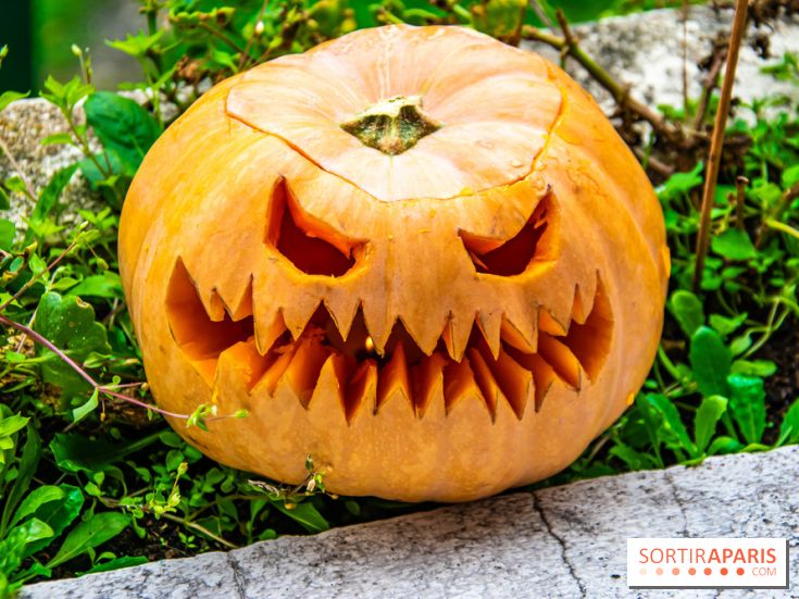 Halloween 2020 : comment creuser sa citrouille ? Le tuto