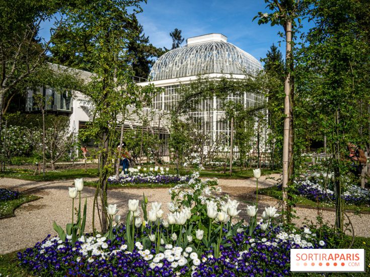 Les jardins du Musée Albert Kahn, nos photos 