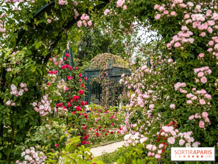 Photos : La Roseraie du val-de-Marne