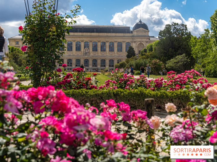 Photos La roseraie du Jardin des Plantes