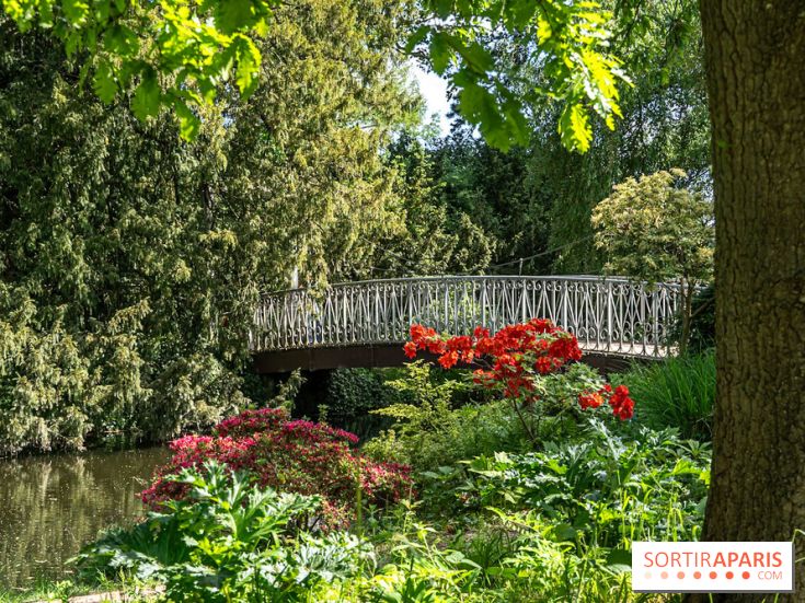 Arboretum de la Vallée-aux-Loups, une balade au milieu des arbres remarquables - A7C07780