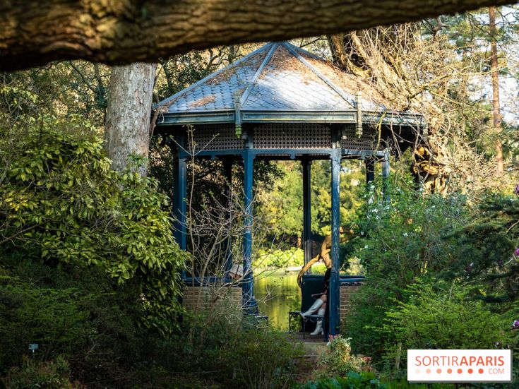 Arboretum de la Vallée-aux-Loups, une balade au milieu des arbres remarquables