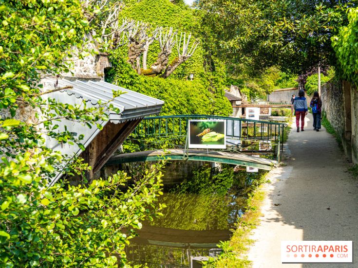 La promenade des petits ponts dans la vallée de Chevreuse -  A7C3889