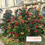 Noël Paris visuels - cadeau - sapin - Marché de Noël - cadeau de Noël - décoration - Mairie 11e