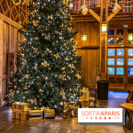 Noël Paris visuels - sapin de noël