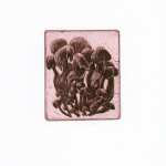 Exposition Végétal à l'Institut culturel bulgare - eau forte (32)