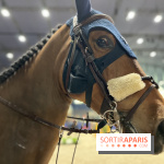 cheval - Saut Hermès