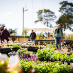 Les journées des plantes & Art  - journes des plantes  fontainebleau 2025 i samedi 29 mars 2025 54425853222 o