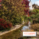 Square Médéric Colombes - jardin japonais 92 -  A7C9982