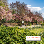 Parc de Bécon à Courbevoie - Pavillon des Indes - Cerisiers en fleurs
