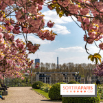 Parc de Bécon à Courbevoie - Pavillon des Indes - Cerisiers en fleurs