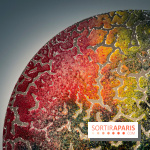 Toucher Terre : l'exposition qui nous plonge dans un monde magique à l'Espace Monte-Cristo - IMG 1248