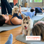 Puppy Yoga