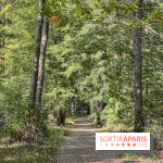 Visuel forêt