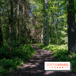 Visuel forêt