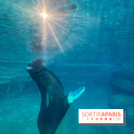 Nocturnes au Parc Zoologique de Paris - IMG 3469