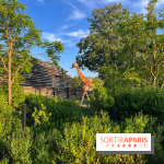 Nocturnes au Parc Zoologique de Paris - IMG 3513