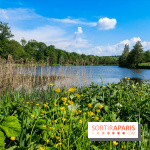 Balade nature dans la forêt de Montmorency, nos photos