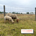 La ferme de Saint-Cyr l'Ecole - image00043