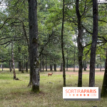 Espace Rambouillet