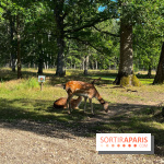Espace Rambouillet