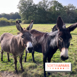 La Ferme des 4 Etoiles à Auffargis - image00002