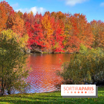 Bassin - étang de la Boissière à Elancourt