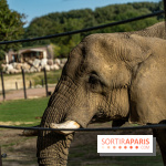 Les lodges de Thoiry - dormir à Thoiry en Terres d'Afrique - Photos -  A7C3226