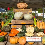 Automne au Potager du Roi - Citrouilles - Halloween
