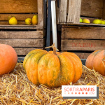 Automne au Potager du Roi - Citrouilles - Halloween
