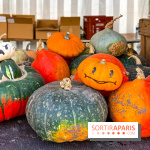 Automne au Potager du Roi - Citrouilles - Halloween