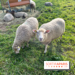 La ferme pédagogique du parc des Chanteraines