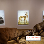Sean Landers, les photos de son expo au Musée de la Chasse et de la Nature - IMG 1238